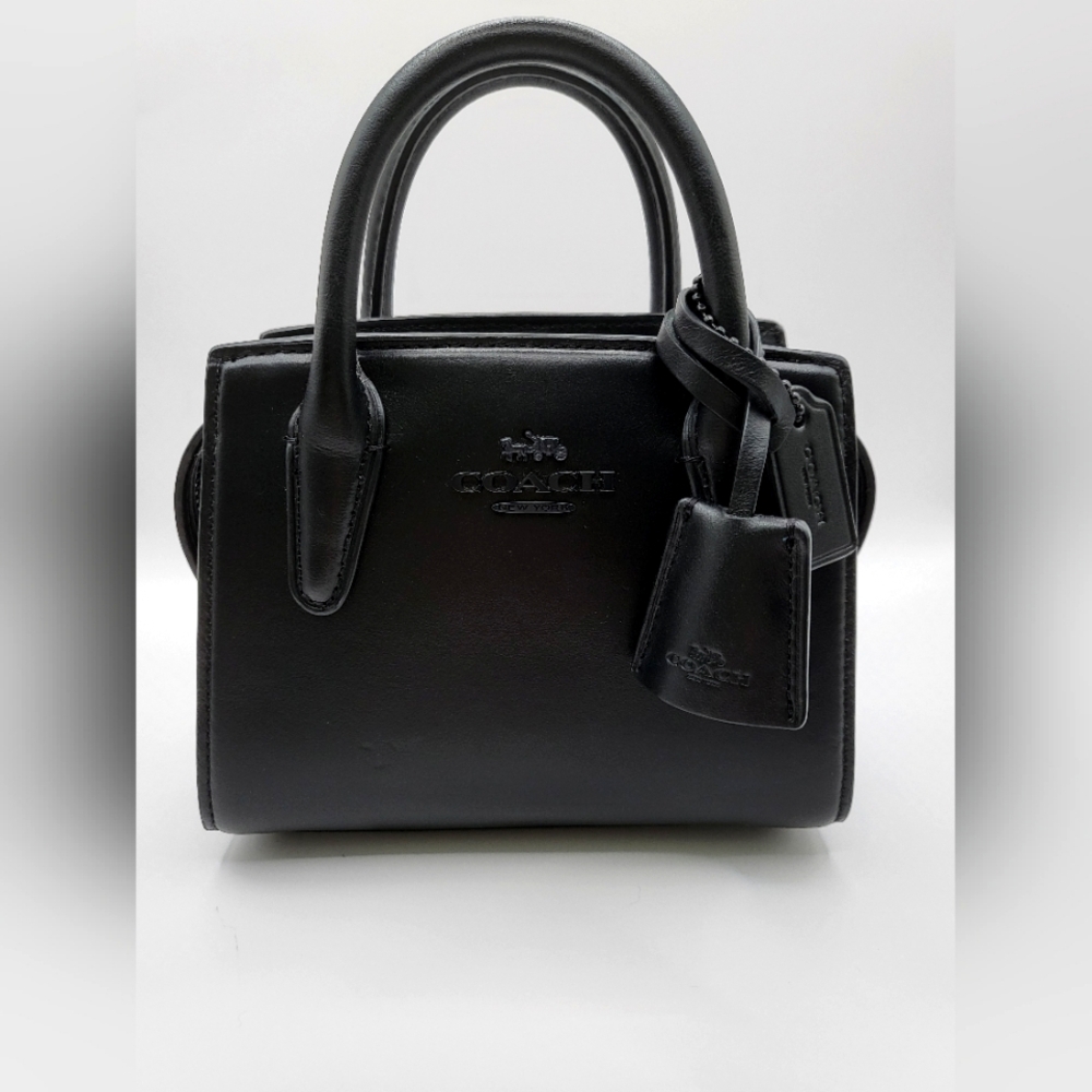 Coach Andrea Mini Carryall